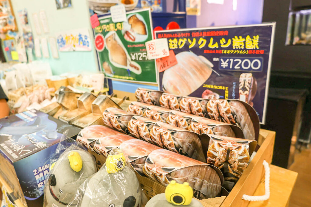 蒲郡の竹島水族館グソクムシ煎餅