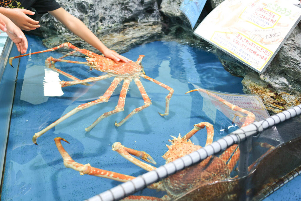 蒲郡の竹島水族館