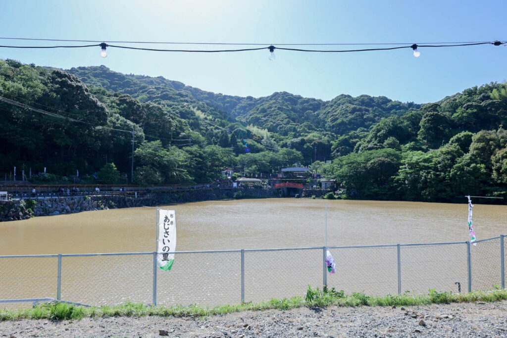 形原温泉あじさい祭り2023