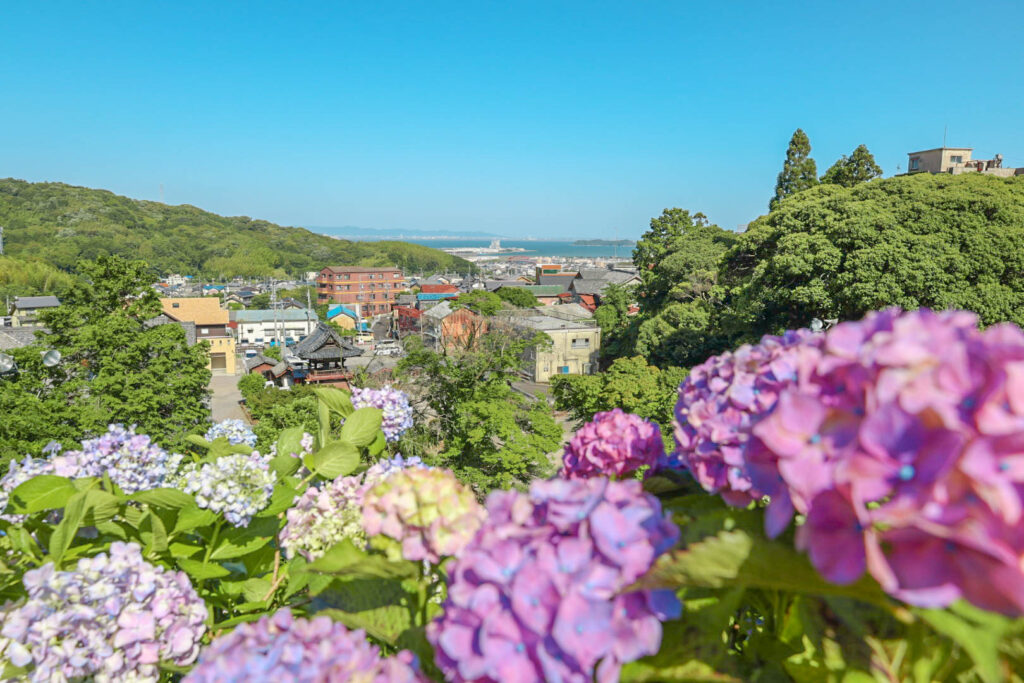 形原温泉あじさい祭り2023