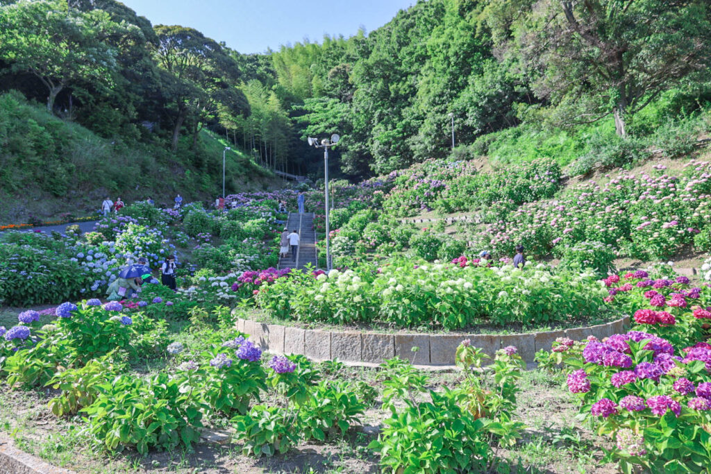 形原温泉あじさい祭り2023